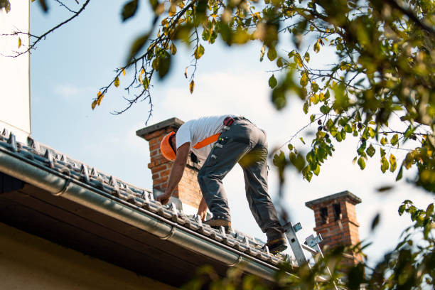 Best Roof Gutter Cleaning  in Orinda, CA